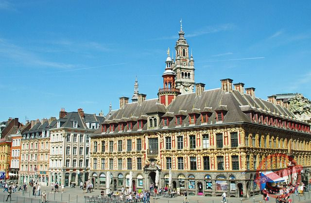 Agence No Code Lille - Web Passion