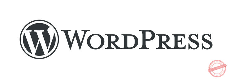 Agence SEO WordPress